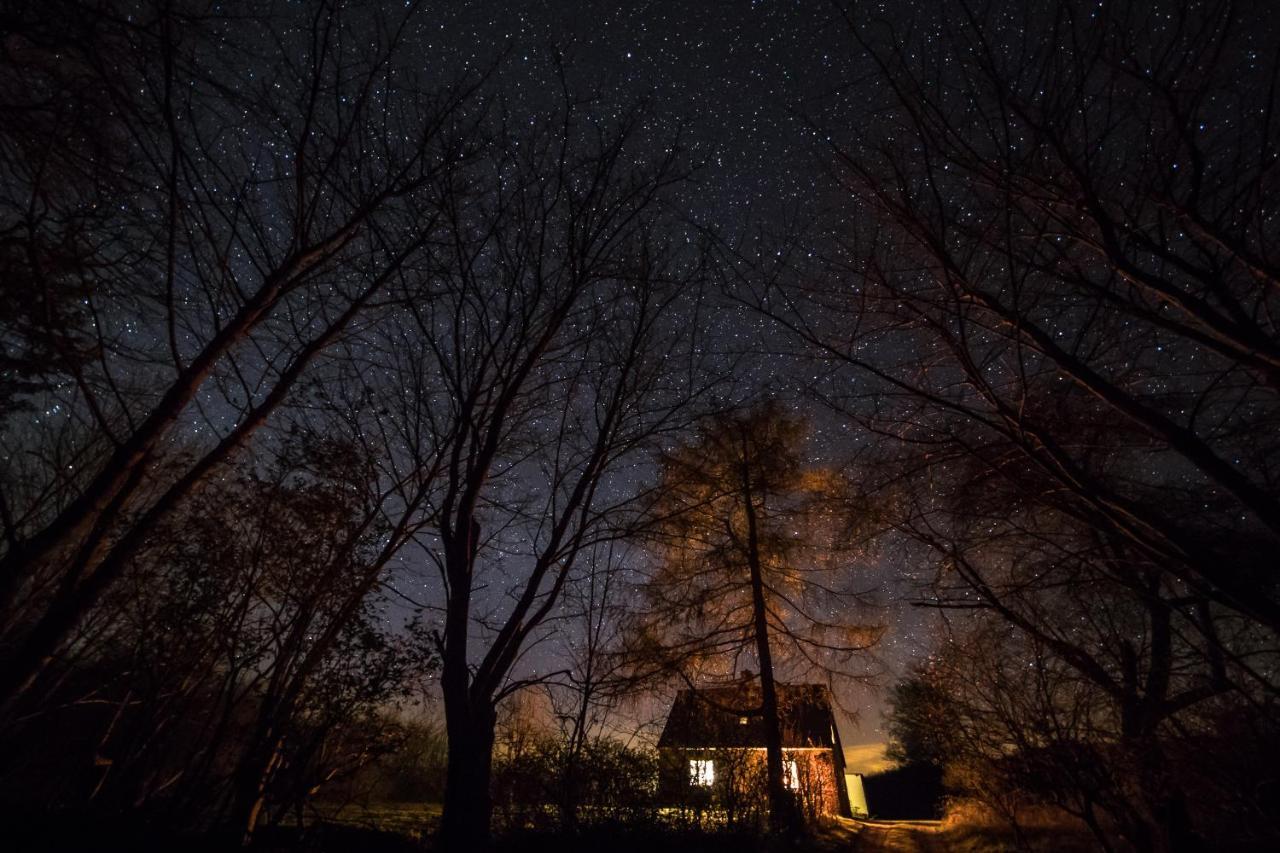 Pike Lake House Borre Екстериор снимка